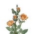 GloboStar® Artificial Garden SALMON ROSE BRANCH 21149 Τεχνητό Διακοσμητικό Κλαδί Σαμπανιζέ Τριαντάφυλλο Y65cm - ledmania.gr
