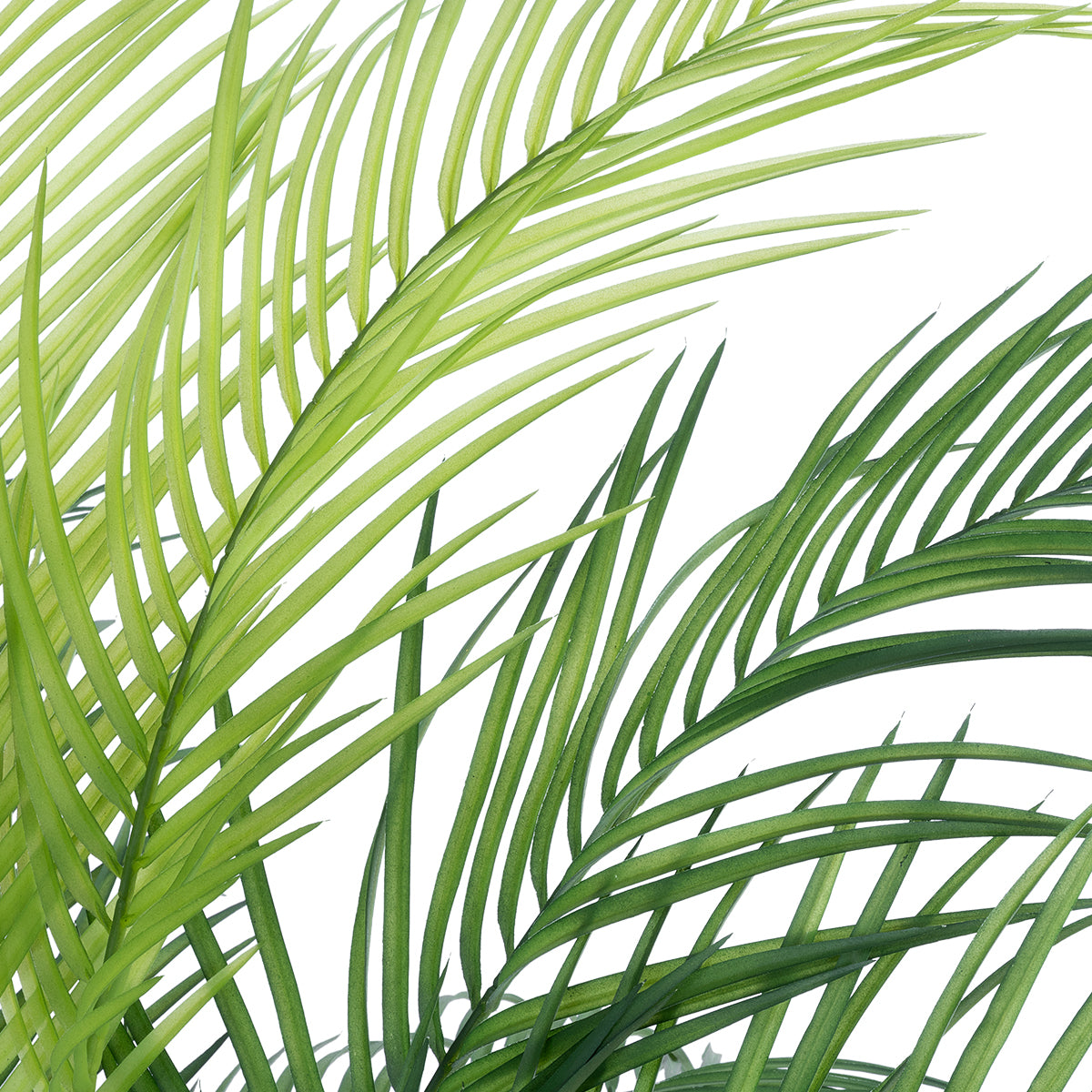GloboStar® Artificial Garden PALM TREE 21154 Διακοσμητικό Φυτό Φοίνικας Υ120cm - ledmania.gr