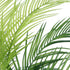 GloboStar® Artificial Garden PALM TREE 21154 Διακοσμητικό Φυτό Φοίνικας Υ120cm - ledmania.gr