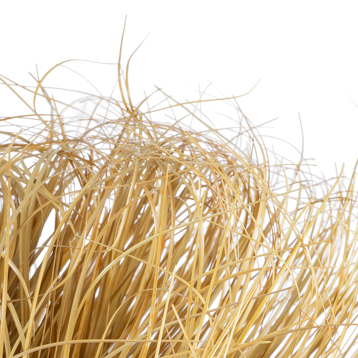 GloboStar® Artificial Garden GRASS BUSH PLANT 21165 Τεχνητό Διακοσμητικό Φυτό Θάμνος Grass Π50cm Y30cm - ledmania.gr