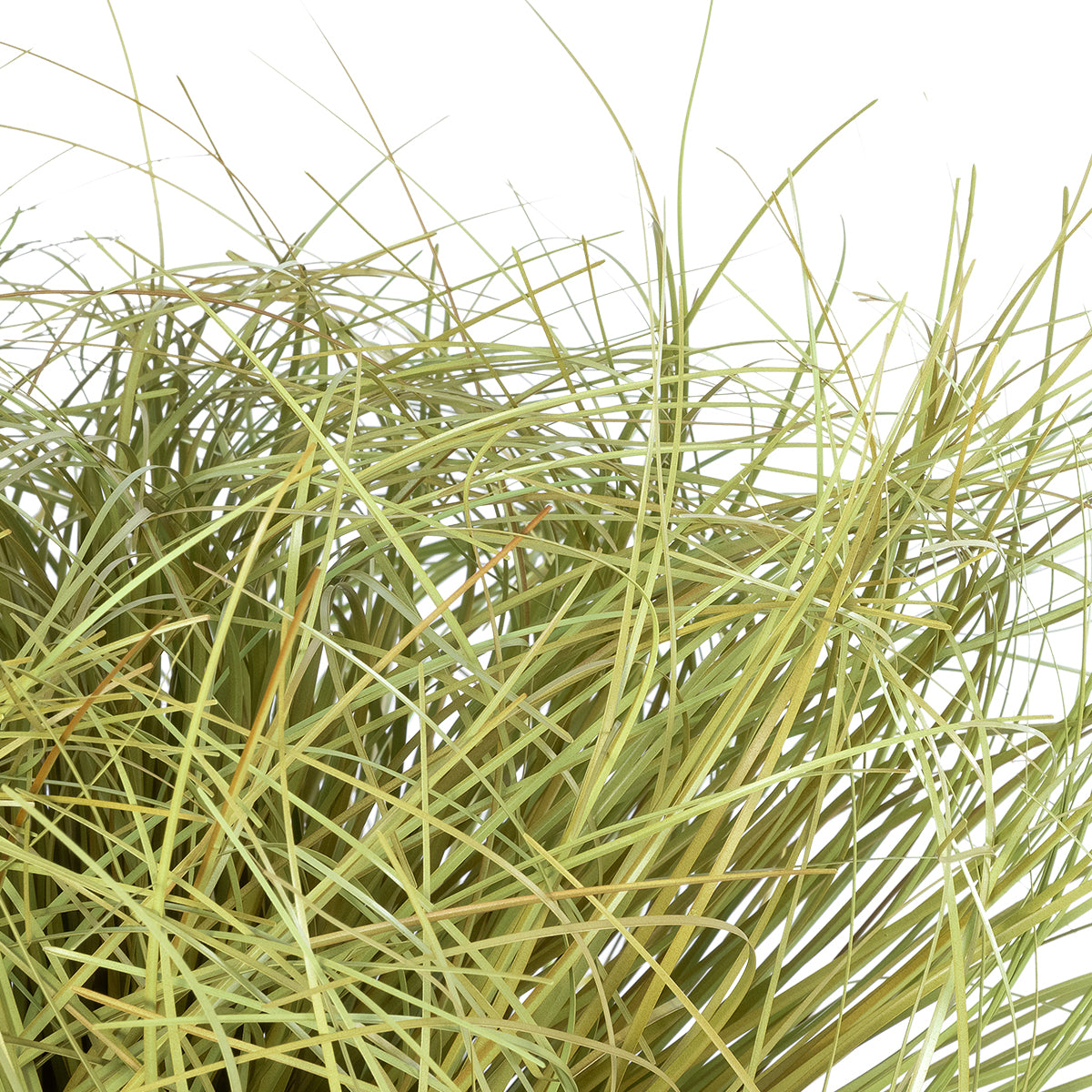 GloboStar® Artificial Garden GRASS BUSH PLANT 21166 Τεχνητό Διακοσμητικό Φυτό Θάμνος Grass Π50cm Y30cm - ledmania.gr