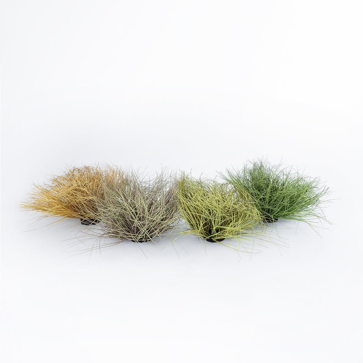 GloboStar® Artificial Garden GRASS BUSH PLANT 21167 Τεχνητό Διακοσμητικό Φυτό Θάμνος Grass Π50cm Y30cm - ledmania.gr