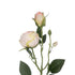GloboStar® Artificial Garden CHAMPAGNE DAMASK CLIMBING ROSE BRANCH 21198 Τεχνητό Διακοσμητικό Κλαδί Τριαντάφυλλο Σαμπανιζέ Y55cm - ledmania.gr