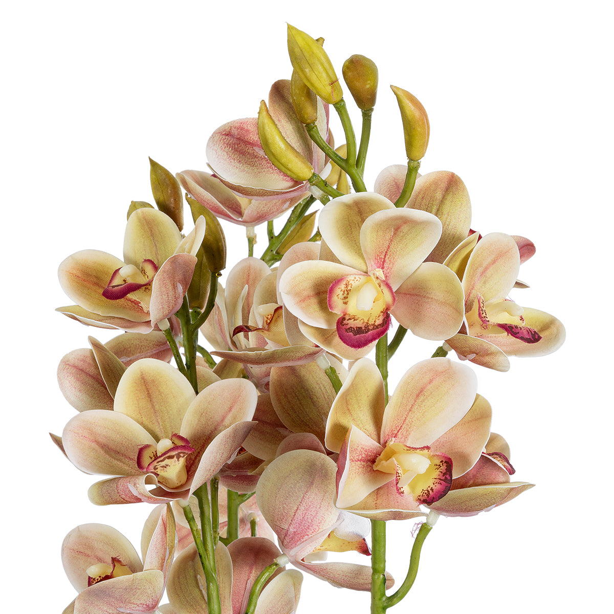 GloboStar® Artificial Garden CHAMPAGNE CHERRY CYMBIDIUM 21404 Διακοσμητικό Φυτό Σαμπανιζέ Κυμβίδιο Υ60cm - ledmania.gr