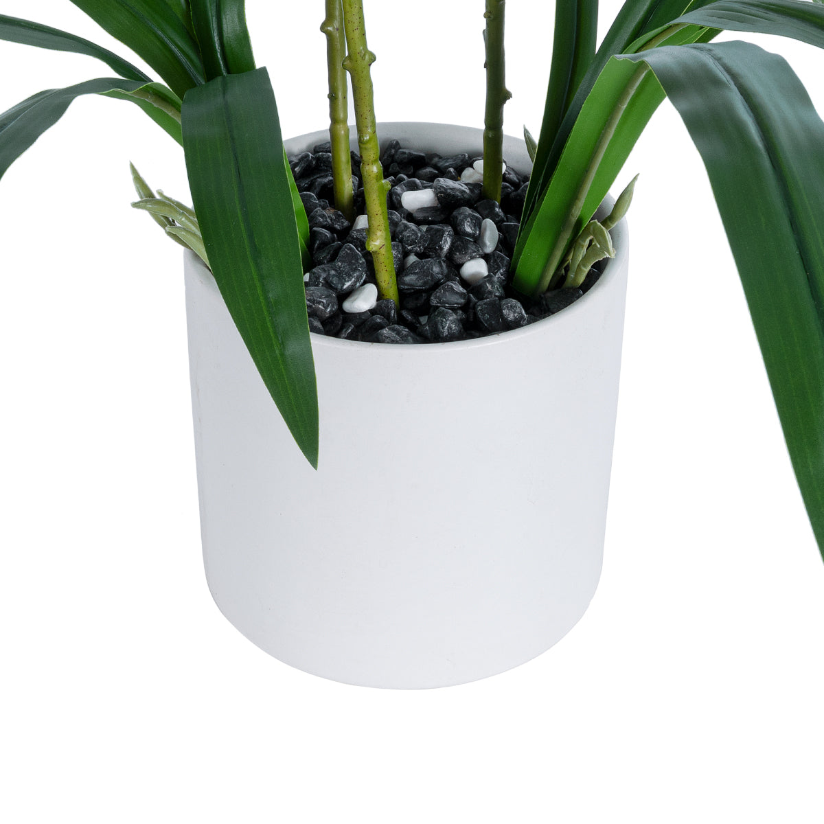 GloboStar® Artificial Garden CHAMPAGNE CHERRY CYMBIDIUM 21404 Διακοσμητικό Φυτό Σαμπανιζέ Κυμβίδιο Υ60cm - ledmania.gr