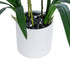 GloboStar® Artificial Garden CHAMPAGNE CHERRY CYMBIDIUM 21404 Διακοσμητικό Φυτό Σαμπανιζέ Κυμβίδιο Υ60cm - ledmania.gr