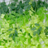 GloboStar® Artificial Garden GREEN WISTERIA FLOWER BRANCH 21514 Σετ 12 Τεχνητά Διακοσμητικά κλαδιά Βιστέριας Πράσινο Φ45 x Υ120cm - ledmania.gr