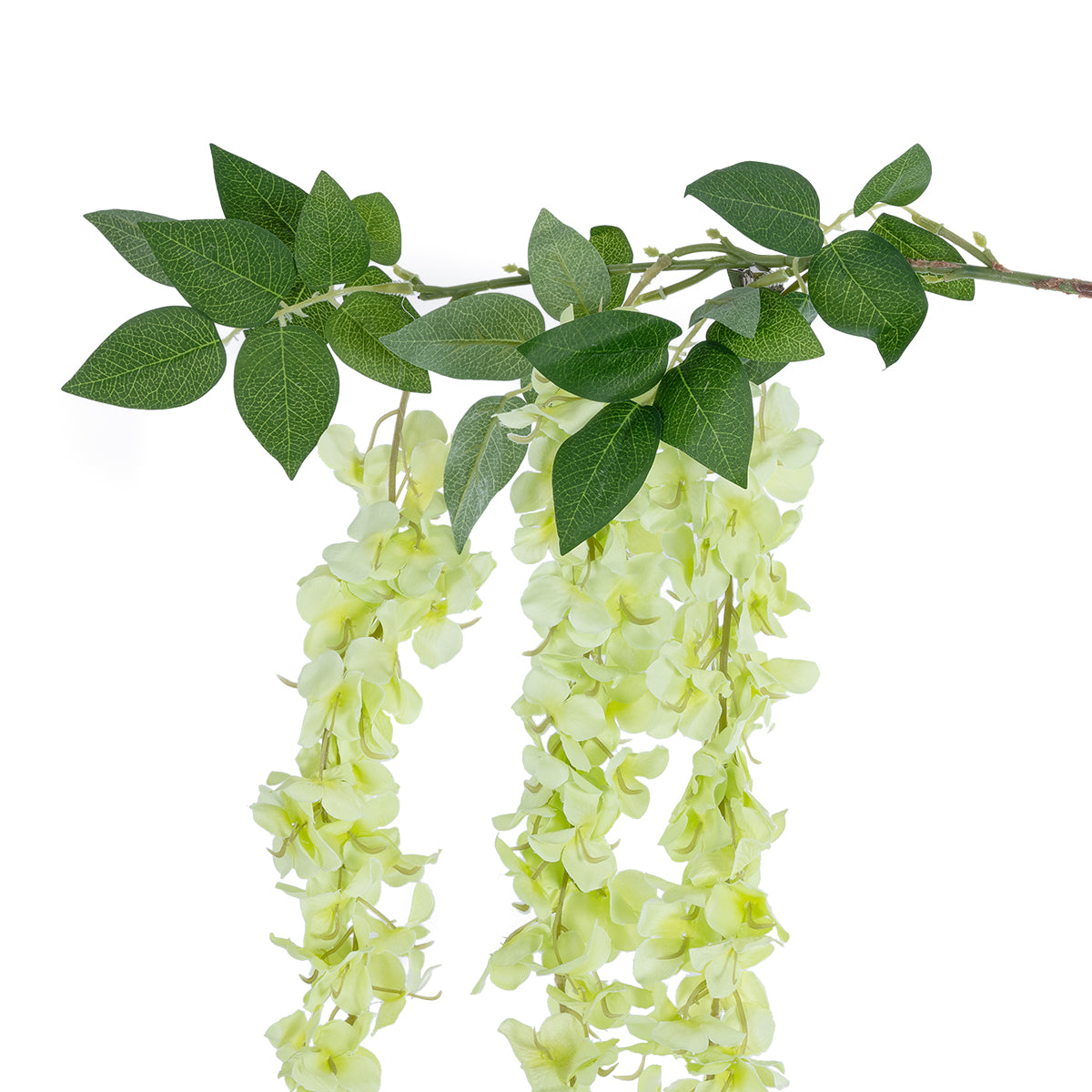 GloboStar® Artificial Garden GREEN WISTERIA FLOWER BRANCH 21520 Τεχνητό Διακοσμητικό κλαδί Βιστέρια Πράσινο Φ45 x Υ164cm - ledmania.gr