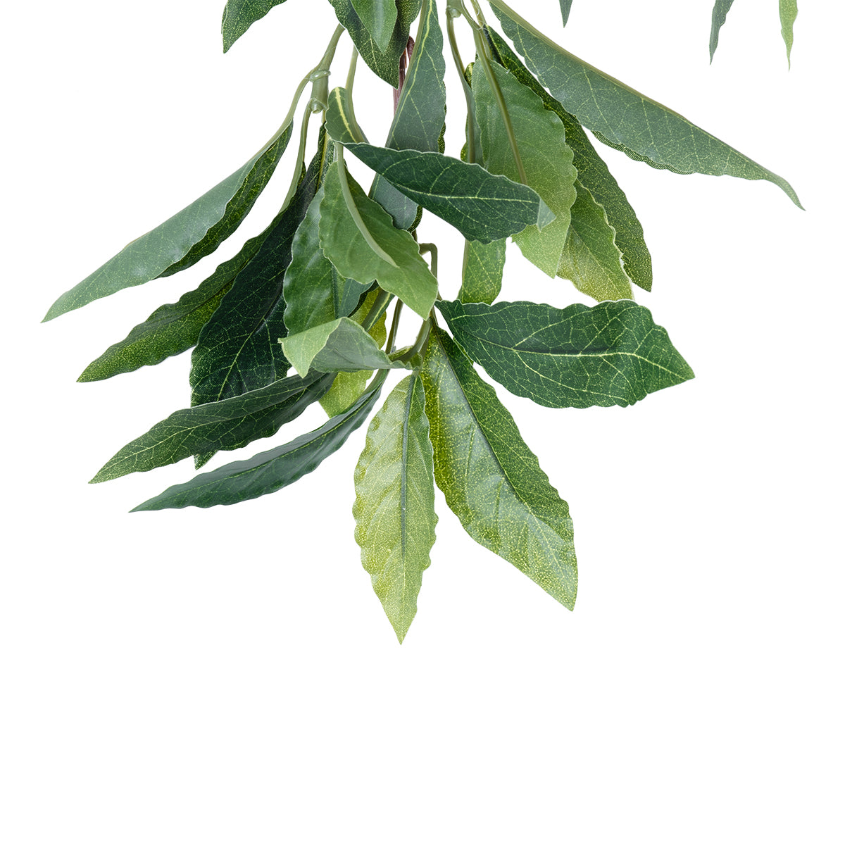 GloboStar® Artificial Garden LAURUS NOBILIS BRANCH 20225 10 x Τεχνητά Διακοσμητικά Κλαδία Δάφνης Π45 x Υ60cm - ledmania.gr