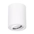GLOBOSTAR® AKIRA 60618 Κινούμενο Φωτιστικό Downlight Σποτ με Ντουί 1 x GU10 AC 220-240V IP20 - Λευκό Ματ - Μ8 x Π8 x Υ10cm