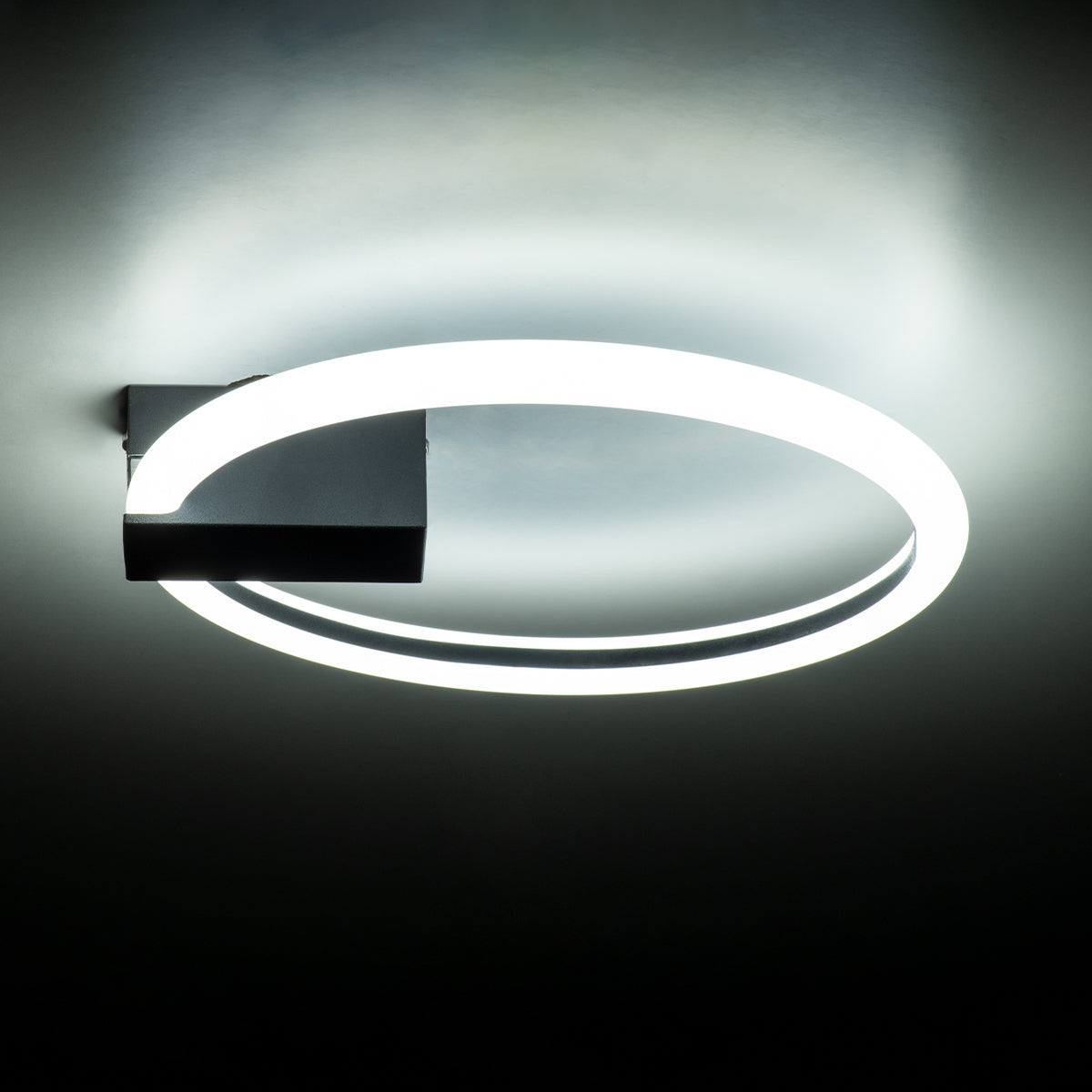 GloboStar® CINDERELLA 60976 Φωτιστικό Οροφής Δαχτυλίδι-Κύκλος LED CCT 16W 1792lm 360° AC 220-240V - Εναλλαγή Φωτισμού μέσω Διακόπτη On/Off All In One Ψυχρό 6000k+Φυσικό 4500k+Θερμό 2700k Φ28cm - Μαύρο - 3 Years Warranty - ledmania.gr