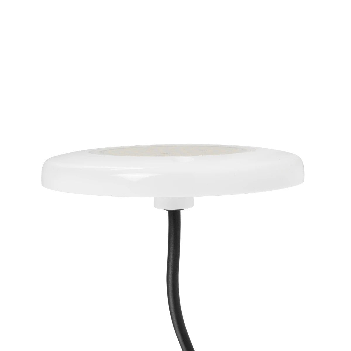 GLOBOSTAR® POOLARTY 61714 Υποβρύχιο Φωτιστικό για Σιντριβάνια/Πισίνες LED 8W 680lm 120° DC 12V Αδιάβροχο IP68 Ψυχρό Λευκό 6000K Dimmable - Bridgelux SMD Chip - 1m VDE Rubber Καλώδιο - Φ13 x Υ2cm - 3 Χρόνια Εγγύηση - ledmania.gr