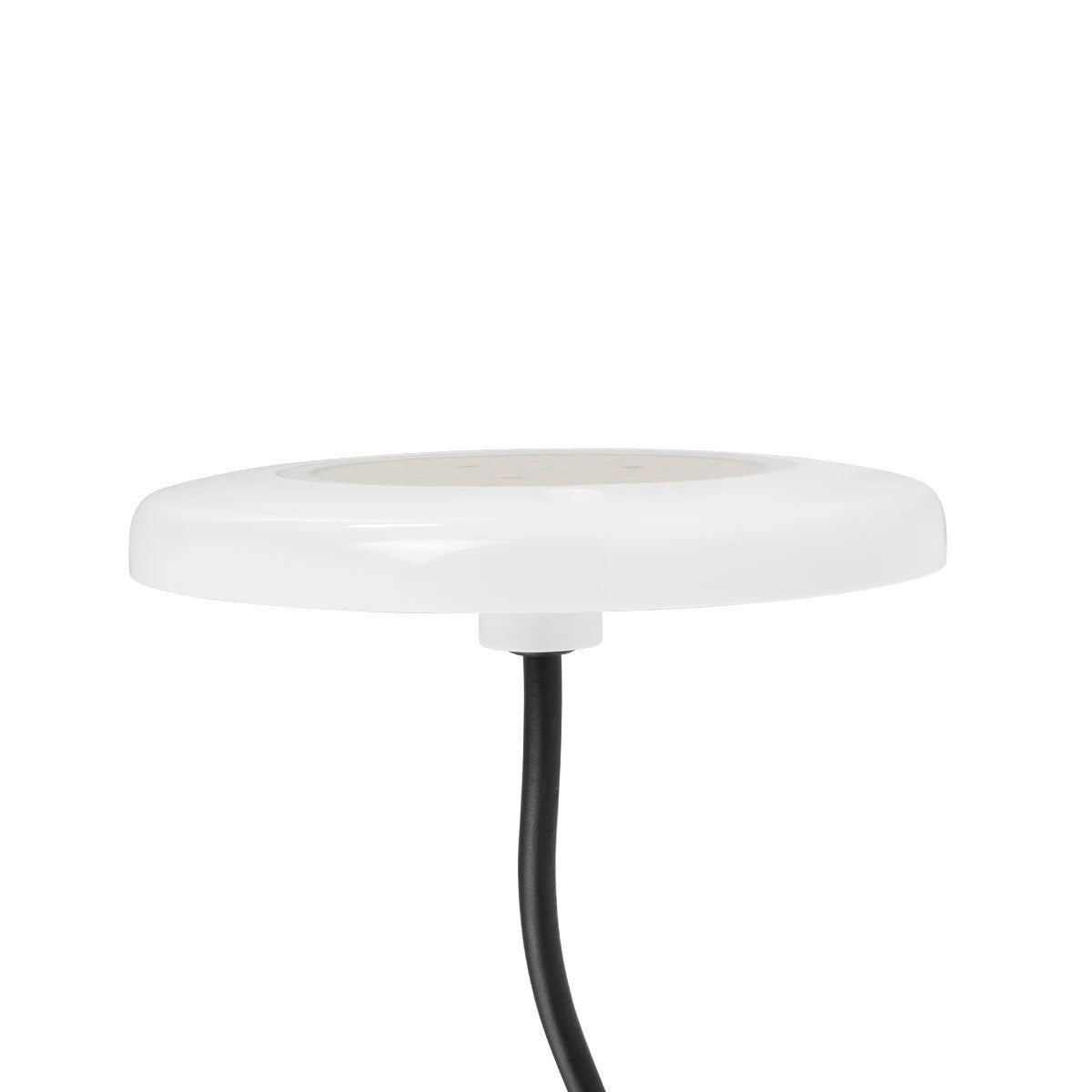 GLOBOSTAR® POOLARTY 61715 Υποβρύχιο Φωτιστικό για Σιντριβάνια/Πισίνες LED 8W 640lm 120° DC 12V Αδιάβροχο IP68 Φυσικό Λευκό 4500K Dimmable - Bridgelux SMD Chip - 1m VDE Rubber Καλώδιο - Φ13 x Υ2cm - 3 Χρόνια Εγγύηση - ledmania.gr