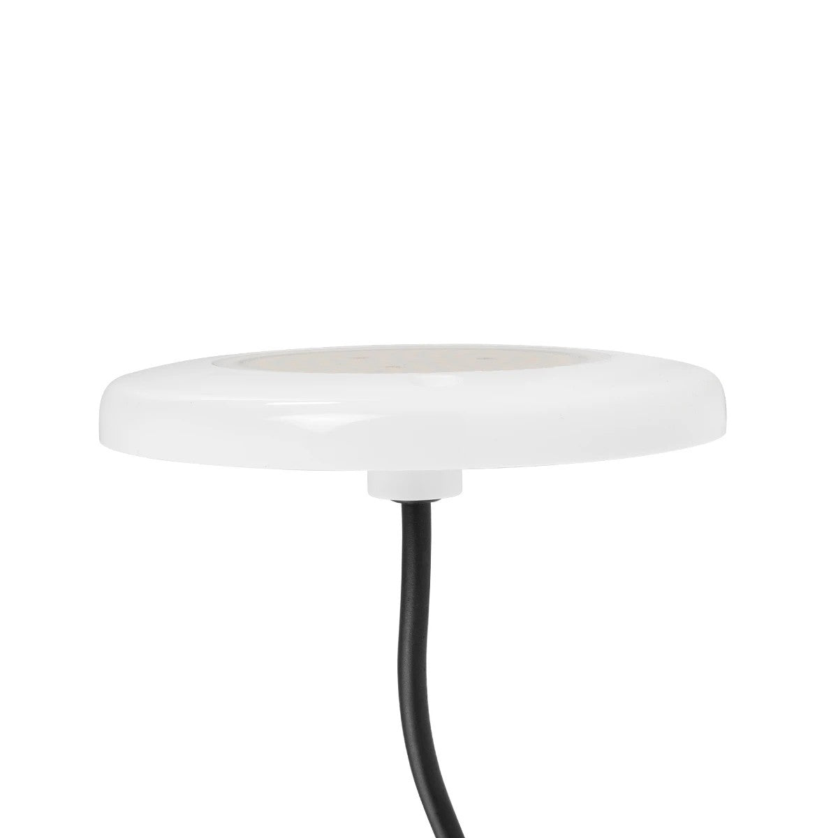GLOBOSTAR® POOLARTY 61716 Υποβρύχιο Φωτιστικό για Σιντριβάνια/Πισίνες LED 8W 600lm 120° DC 12V Αδιάβροχο IP68 Θερμό Λευκό 2700K Dimmable - Bridgelux SMD Chip - 1m VDE Rubber Καλώδιο - Φ13 x Υ2cm - 3 Χρόνια Εγγύηση - ledmania.gr