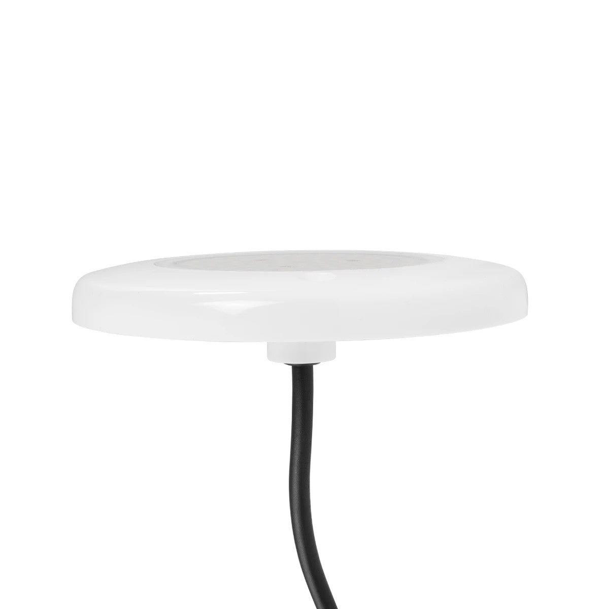 GLOBOSTAR® POOLARTY 61717 Υποβρύχιο Φωτιστικό για Σιντριβάνια/Πισίνες LED 8W 560lm 120° DC 12V Αδιάβροχο IP68 Μπλε Dimmable - Bridgelux SMD Chip - 1m VDE Rubber Καλώδιο - Φ13 x Υ2cm - 3 Χρόνια Εγγύηση - ledmania.gr