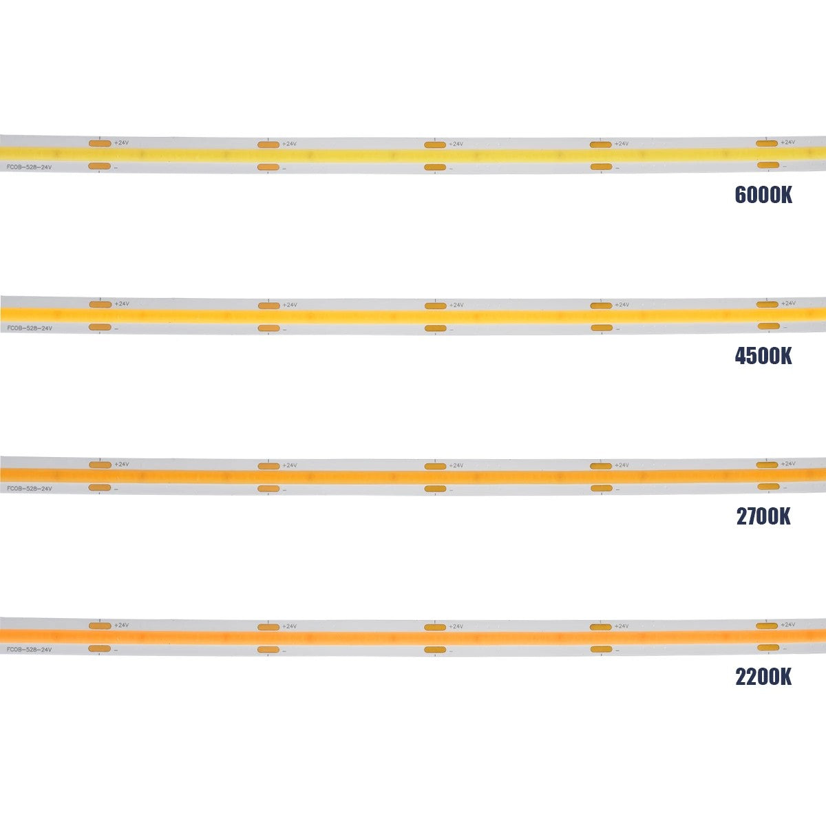 GLOBOSTAR® BEE 70350 Ταινία LED 10W/m 1100lm/m 120° DC 24V IP20 528 x COB Chip/m Ψυχρό Λευκό 6000K Dimmable - Μ500 x Π1 x Υ0.2cm - Ρολό 5 Μέτρων - 5 Χρόνια Εγγύηση