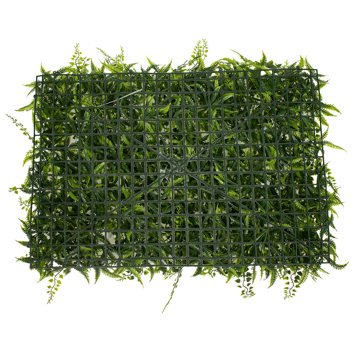 GloboStar® 78402 Artificial - Συνθετικό Τεχνητό Διακοσμητικό Πάνελ Φυλλωσιάς - Κάθετος Κήπος Νάνος Φτέρη - Νάνος Κισσός - Νάνος Δάφνη Πράσινο Μ60 x Υ40 x Π9cm - ledmania.gr