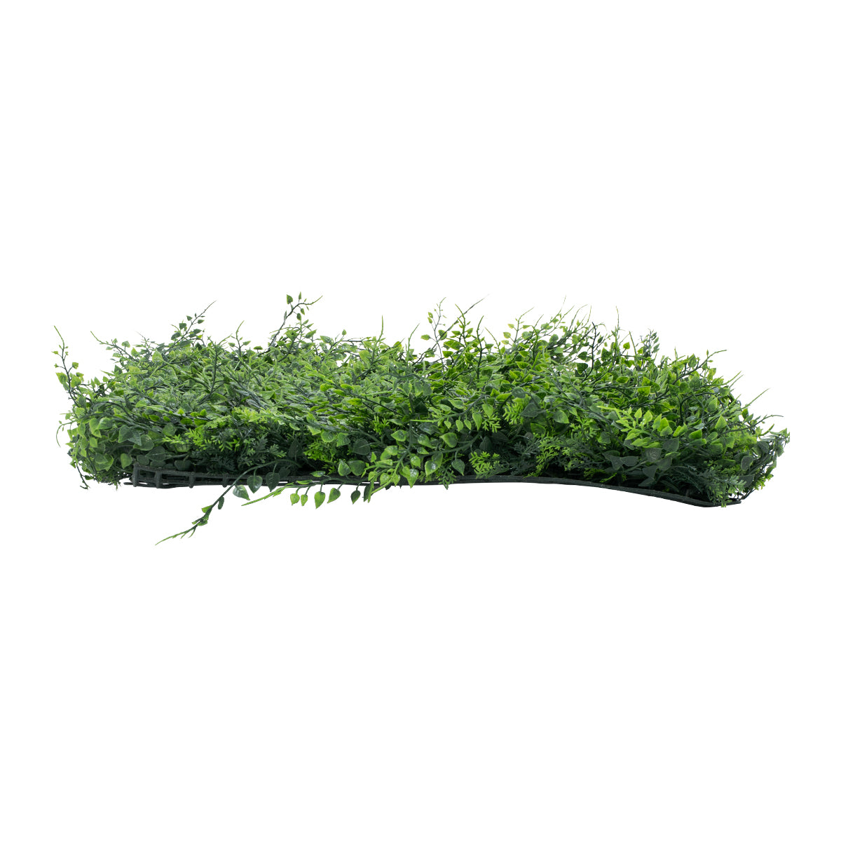GloboStar® 78413 Artificial - Συνθετικό Τεχνητό Διακοσμητικό Πάνελ Φυλλωσιάς - Κάθετος Κήπος Λέιλαντ - Νάνος Κισσός Πράσινο Μ60 x Υ40 x Π9cm - ledmania.gr