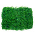 GloboStar® 78435 Artificial - Συνθετικό Τεχνητό Διακοσμητικό Πάνελ Φυλλωσιάς - Κάθετος Κήπος Φύλλα Αγγελικής - Πράσινο Μ60 x Υ50 x Π8cm - ledmania.gr