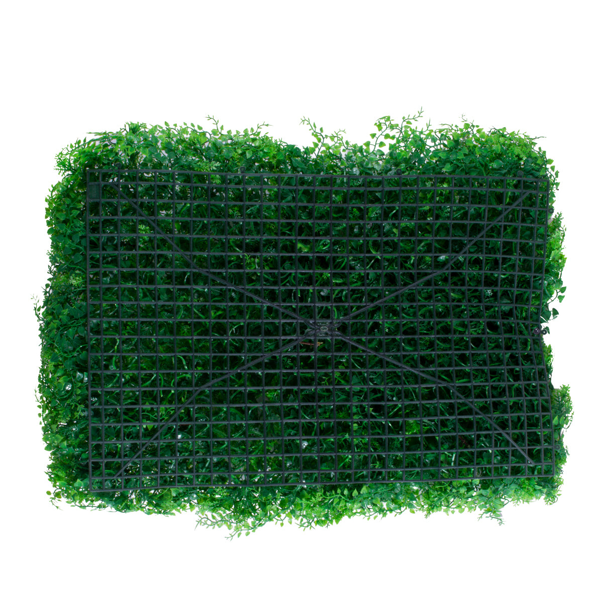 GloboStar® 78435 Artificial - Συνθετικό Τεχνητό Διακοσμητικό Πάνελ Φυλλωσιάς - Κάθετος Κήπος Φύλλα Αγγελικής - Πράσινο Μ60 x Υ50 x Π8cm - ledmania.gr