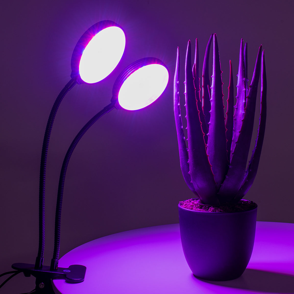 GLOBOSTAR® GROWME 79650 Φωτιστικό Ανάπτυξης Φυτών με Ενσωματωμένο Χειριστήριο LED 10W 300lm 120° DC 5V με USB 2.0 IP20 Πολύχρωμο Πλήρους Φάσματος Κόκκινο 660nm & Μπλε 450nm & UVIR 730nm Dimmable - Sanan SMD Chip - Μαύρο - Μ10 x Π30 x Υ36cm - 2 Χρόνια Ε... - ledmania.gr