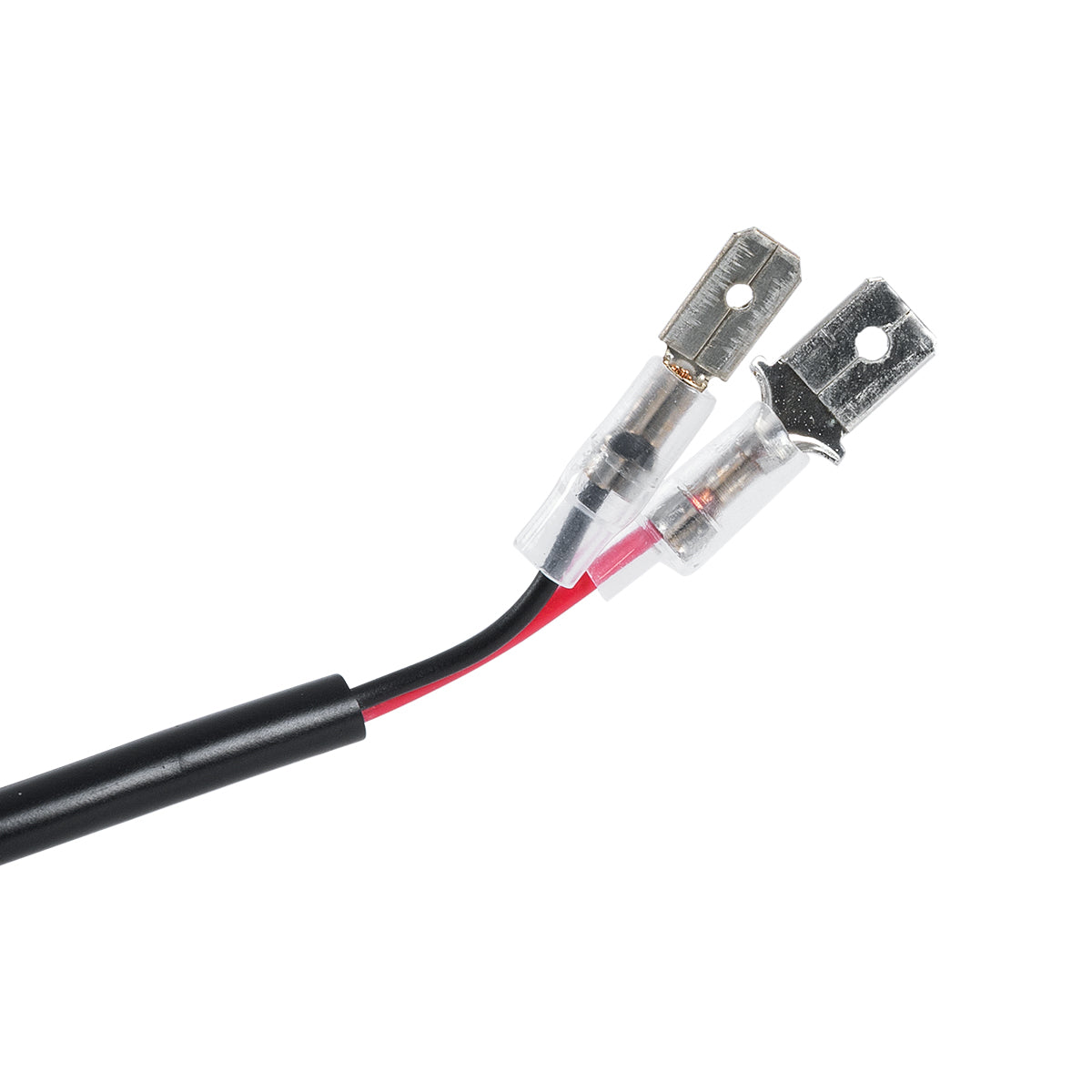 GLOBOSTAR® LEDKITF2 82020 Λάμπα H1 CANbus LED 30W/60W 3500lm/7000lm 360° DC 12-24V Αδιάβροχο IP65 Ψυχρό Λευκό 6000K - CREE COB Chip - Μ4 x Π4 x Υ7cm - Πακέτο 2 Τεμαχίων - 2 Χρόνια Εγγύηση - ledmania.gr