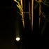 GLOBOSTAR® TREELIGHT-TREEGAL 90461 Σποτ Φωτισμού για Φυτά - Δέντρα με Βάση Μπετού & Κορμού LED 3W 330lm 15° DC 24V Αδιάβροχο IP65 Θερμό Λευκό 2700K Dimmable - Γκρι Ανθρακί - Μ5 x Π5 x Υ14.7cm - 3 Χρόνια Εγγύηση - ledmania.gr