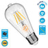 GloboStar® 99015 Λάμπα E27 ST64 Αχλάδι LED FILAMENT 4W 440 lm 320° AC 85-265V Edison Retro με Διάφανο Γυαλί Θερμό Λευκό 2700 K Dimmable