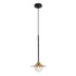 GLOBOSTAR® JOLIET 999-0042 Μοντέρνο Κρεμαστό Φωτιστικό Οροφής με Ντουί 1 x G9 AC 220-240V IP20 - Μαύρο & Χρυσό - Μ20 x Π20 x Y43cm