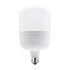 LED SMD E27 P129 39W 6000K 4250LM 230V AC RA80 40000H 220° IP65