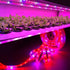 Ταινία Led Ανάπτυξης Φυτών-12v-Full Specrum 3Led Κόκκινα 1 Μπλε-60Led το μετρο-