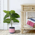 GloboStar® Artificial Garden BOMBAY 20521 Διακοσμητικό Κεραμικό Κασπώ Γλάστρα - Flower Pot Ροζ με Λευκό και Μπλε Φ14.5 x Υ13cm - ledmania.gr