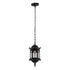 GloboStar® DARCY 00655 Vintage Κρεμαστό Φωτιστικό Οροφής Μονόφωτο Μαύρο Μεταλλικό Πλέγμα Φ15.5 x Y32.5cm - ledmania.gr