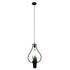 GloboStar® FLOWERPOT 10001210 Μοντέρνο Κρεμαστό Φωτιστικό Οροφής Μονόφωτο Μαύρο Μεταλλικό με Διακοσμητικό Φυτό Φ27 x Y40cm - ledmania.gr