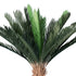 GloboStar® Artificial Garden CYCADS 20023 Τεχνητό Διακοσμητικό Φυτό Αρωματική Κύκας Υ140cm