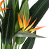 GloboStar® Artificial Garden STRELITZIA REGINAE 20032 Τεχνητό Διακοσμητικό Φυτό Στρελίτσια - Πουλί του Παραδείσου Υ140cm - ledmania.gr