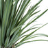 GloboStar® Artificial Garden BEAUCARNEA PALM TREE 20048 Τεχνητό Διακοσμητικό Φυτό Κυρτόφυλλος Μπουκαρνέα Υ250cm