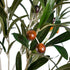 GloboStar® Artificial Garden OLIVE TREE 20051 Τεχνητό Διακοσμητικό Φυτό Ελιά Υ55cm