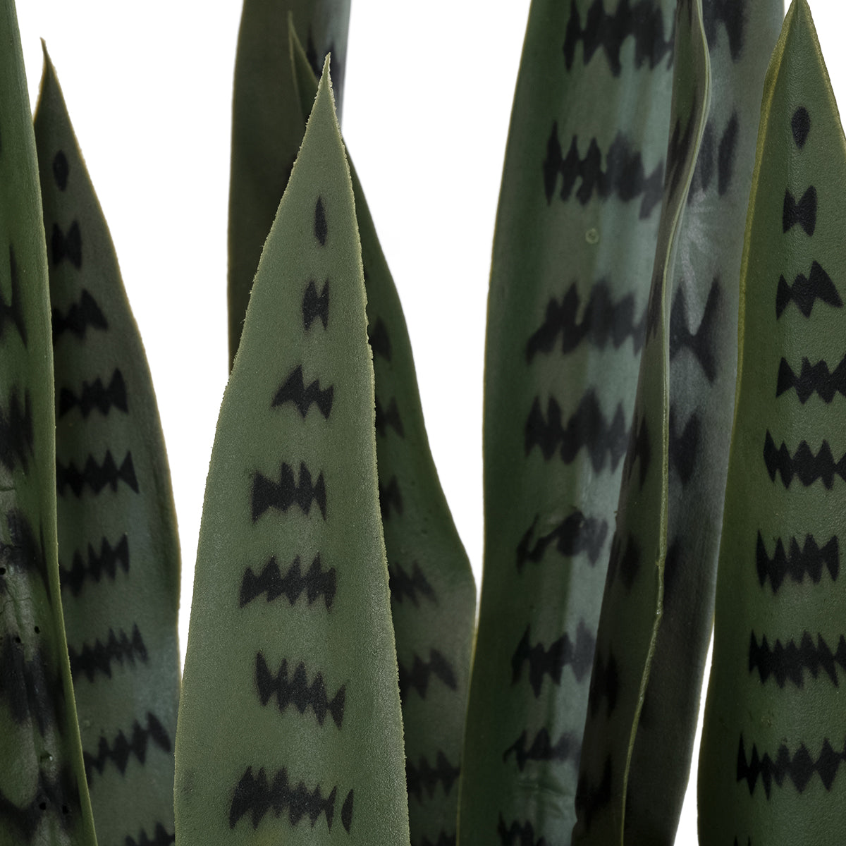 GloboStar® Artificial Garden DRACAENA TRIFASCIATA 20063 Τεχνητό Διακοσμητικό Φυτό Σανσεβιέρια Υ90cm - ledmania.gr