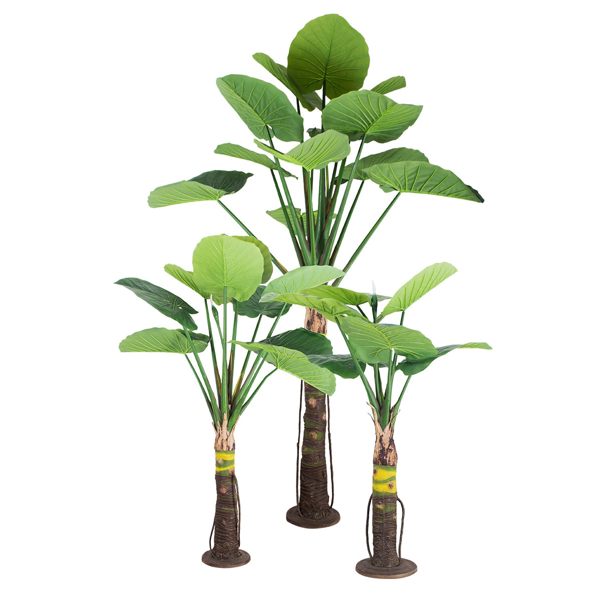 GloboStar® Artificial Garden TARO SET 20089 Τεχνητό Διακοσμητικό Σετ Φυτών Κολοκασία A:Υ300cm B:Υ210cm C:160cm