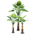 GloboStar® Artificial Garden TARO SET 20089 Τεχνητό Διακοσμητικό Σετ Φυτών Κολοκασία A:Υ300cm B:Υ210cm C:160cm