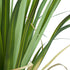 GloboStar® Artificial Garden ACORUS GRAMINEUS 20103 Τεχνητό Διακοσμητικό Φυτό Άκορος Υ90cm