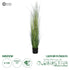 GloboStar® Artificial Garden LAGURUS GRASS 20111 Τεχνητό Διακοσμητικό Φυτό Λαγοουρά Υ150cm