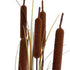 GloboStar® Artificial Garden TYPHA ANGUSTIFOLIA GRASS 20114 Τεχνητό Διακοσμητικό Φυτό Γρασίδι της Τύφας Υ150cm