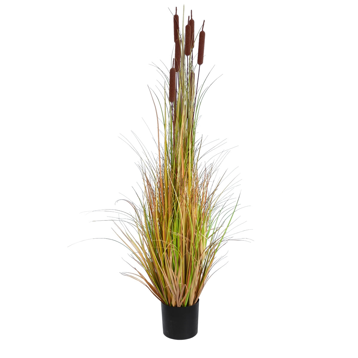 GloboStar® Artificial Garden TYPHA ANGUSTIFOLIA GRASS 20114 Τεχνητό Διακοσμητικό Φυτό Γρασίδι της Τύφας Υ150cm