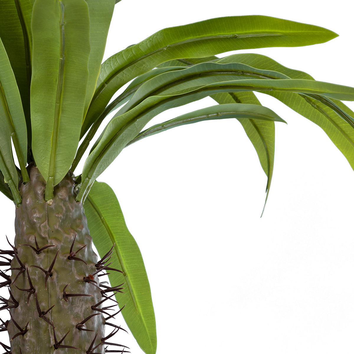 GloboStar® Artificial Garden PACHYPODIUM LAMEREI PALM TREE 20129 Τεχνητό Διακοσμητικό Φυτό Φοίνικας της Μαγαδασκάρης Υ105cm