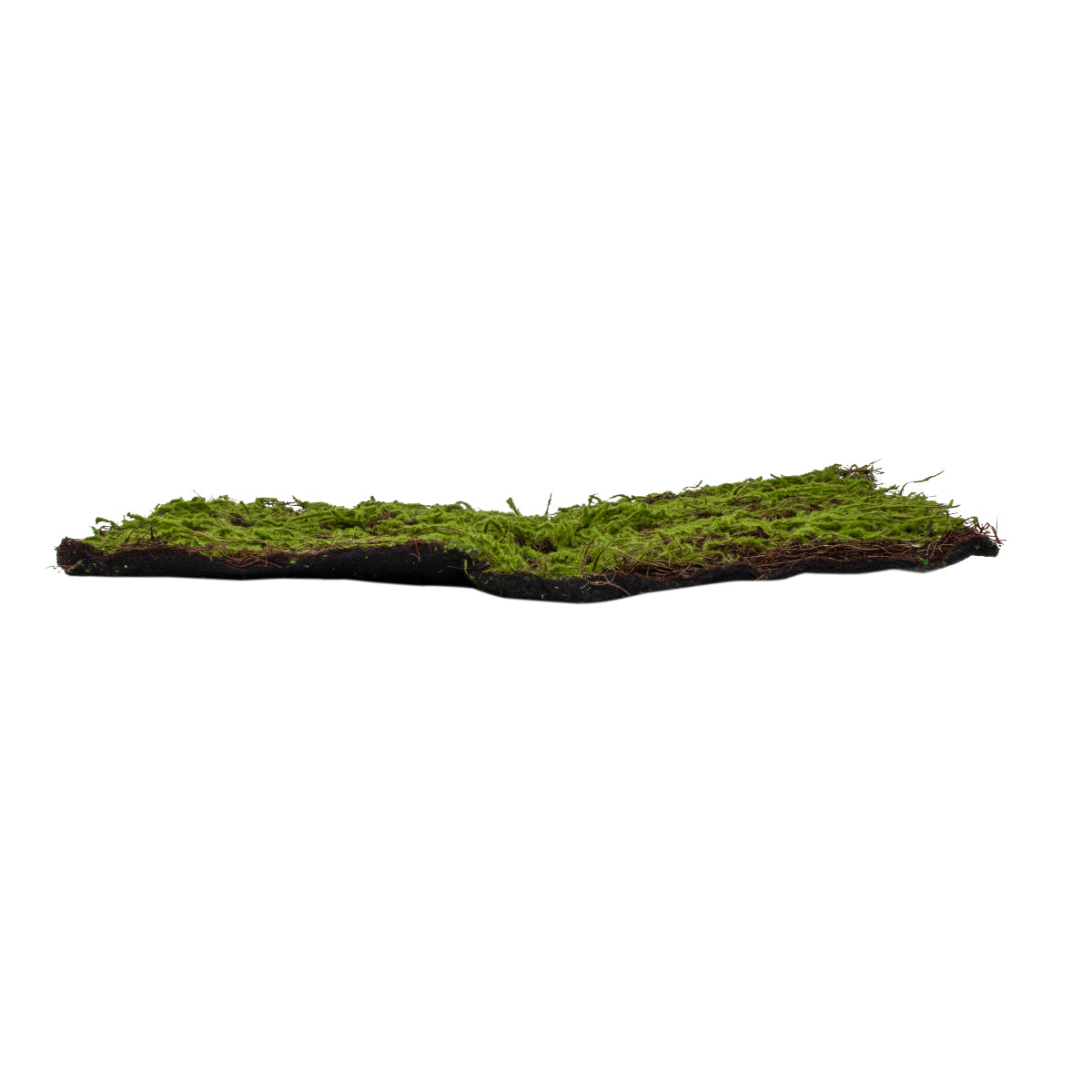 GloboStar® Artificial Garden BRYOPHYTA 20143 Τεχνητό Διακοσμητικό Πάνελ Φυλλωσιάς - Κάθετος Κήπος Βρύα Μ100 x Π100 x Υ5cm - ledmania.gr