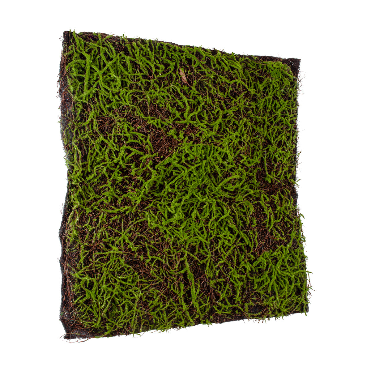 GloboStar® Artificial Garden BRYOPHYTA 20143 Τεχνητό Διακοσμητικό Πάνελ Φυλλωσιάς - Κάθετος Κήπος Βρύα Μ100 x Π100 x Υ5cm - ledmania.gr