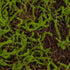 GloboStar® Artificial Garden BRYOPHYTA 20143 Τεχνητό Διακοσμητικό Πάνελ Φυλλωσιάς - Κάθετος Κήπος Βρύα Μ100 x Π100 x Υ5cm - ledmania.gr