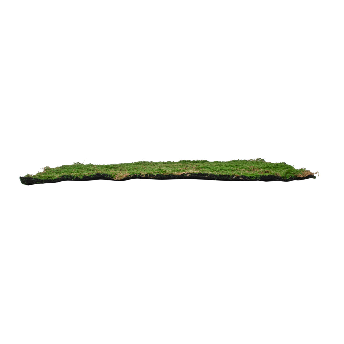 GloboStar® Artificial Garden BRYOPHYTA 20144 Τεχνητό Διακοσμητικό Πάνελ Φυλλωσιάς - Κάθετος Κήπος Βρύα Μ100 x Π100 x Υ3cm - ledmania.gr